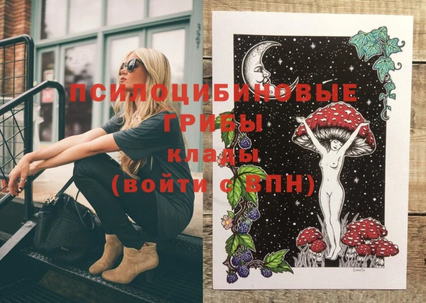 МДПВ Нязепетровск
