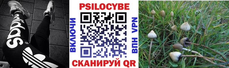Галлюциногенные грибы прущие грибы  Обоянь 
